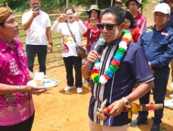 BUMDes Hopakat Maju Bersama Panen Ikan Perdana, Bupati Heriyus Apresiasi Upaya Ketahanan Pangan